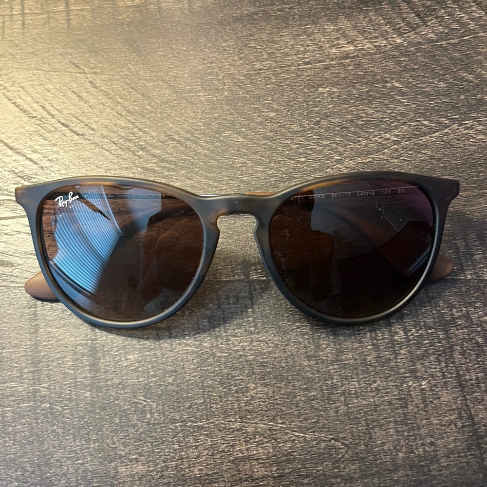 COPY - Ray Ban Erika Sunglasses